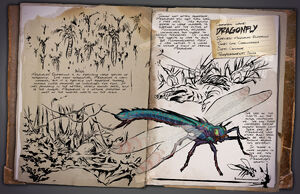29 - Dragonfly
