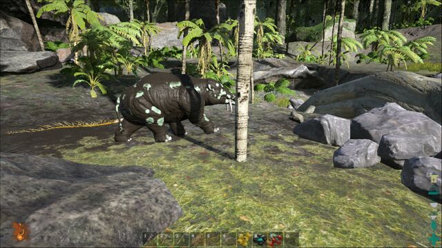 File:ARK-Phiomia Screenshot 001.jpg
