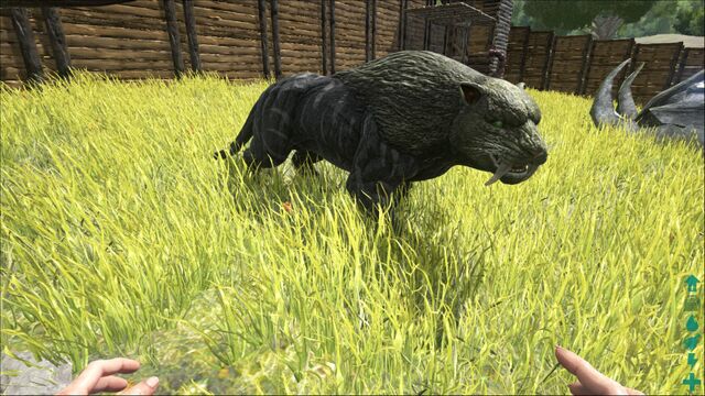 File:ARK-Sabretooth Screenshot 001.jpg