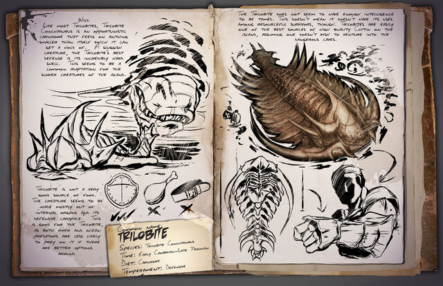 File:36 - Trilobite.jpg