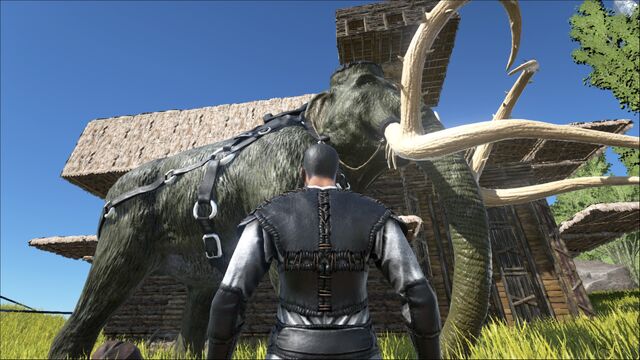 File:Mammoth-Saddle .jpg