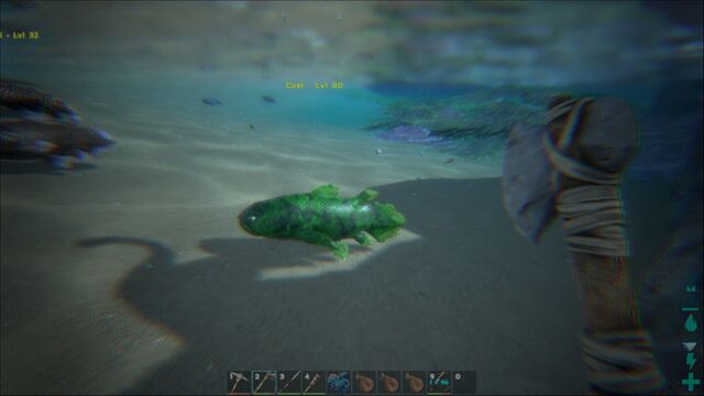 File:ARK-Coelacanth Screenshot 002.jpg