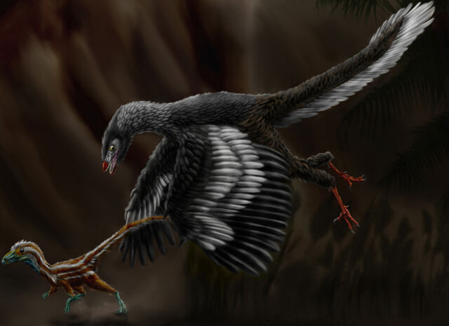 File:Archaeopteryx lithographica by durbed.jpg
