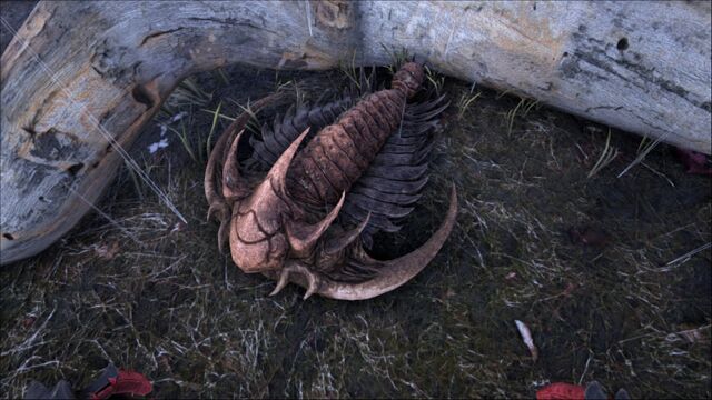 File:ARK-Trilobite Screenshot 004.jpg