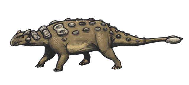 File:Ankylosaurus magniventris reconstruction.png