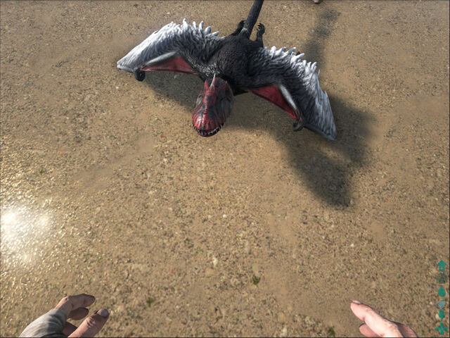 File:ARK-Dimorphodon Screenshot 007.jpg