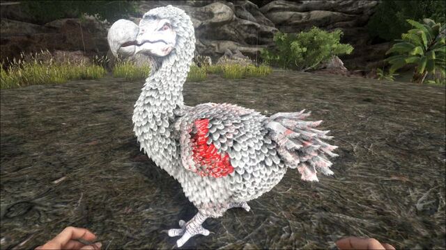 File:800px-Dodo PaintRegion5.jpg