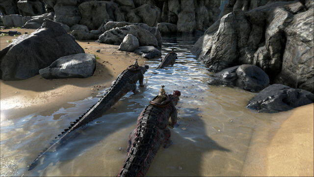 File:ARK18.jpg
