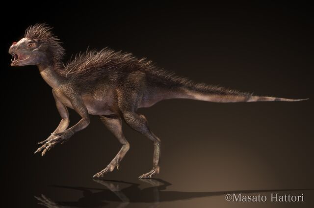 File:Pegomastax africana 20121014 1.jpg