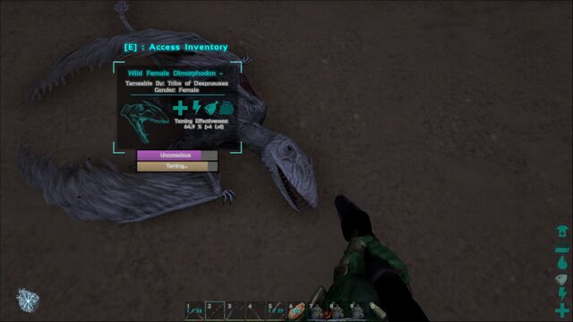 File:ARK-Dimorphodon Screenshot 005.jpg