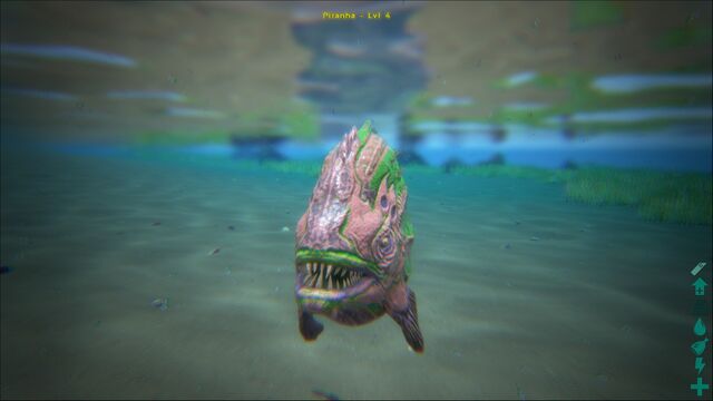 File:ARK-Piranha Screenshot 002.jpg