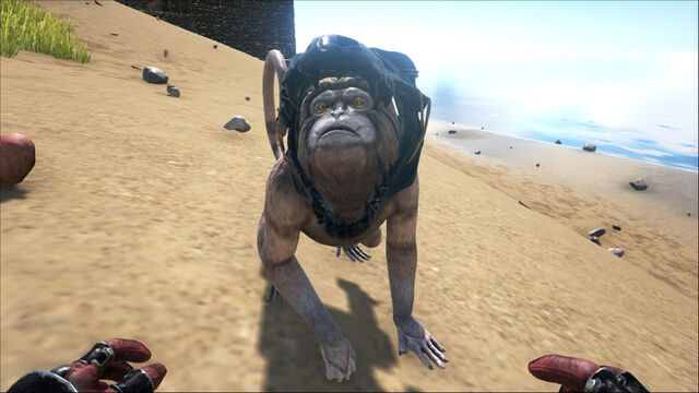 File:ARK-Mesopithecus Screenshot 011.jpg
