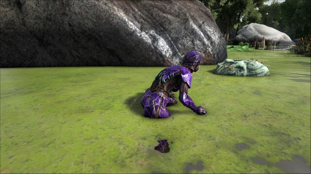 File:ARK-Beelzebufo Screenshot 010.jpg