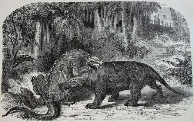 File:Iguanodon versus Megalosaurus.jpg
