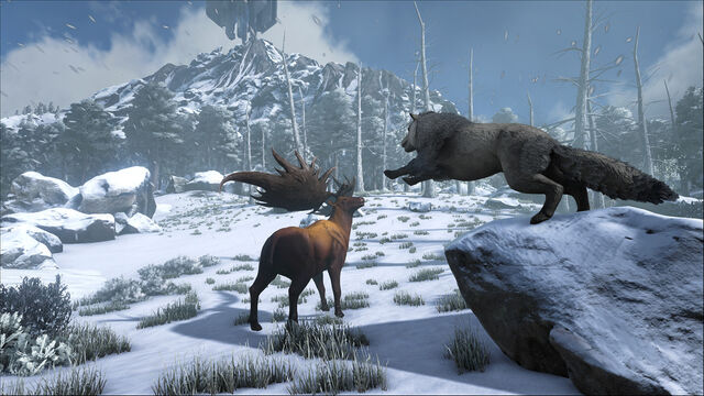 File:ARK-Direwolf and Megaloceros Screenshot 001.jpg