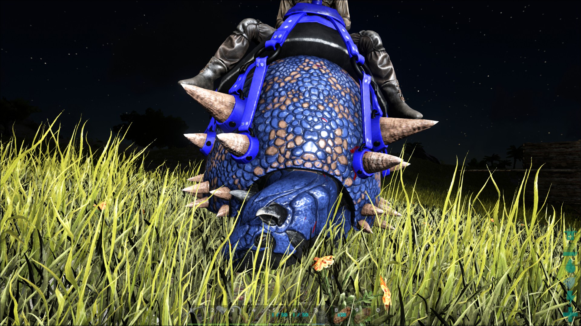 Image - ARK-Doedicurus Screenshot 008.jpg | ARK: Survival Evolved Wiki