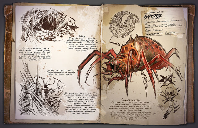File:Spider.jpg