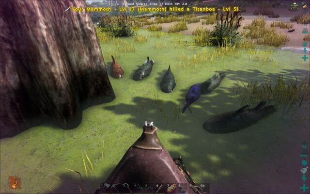 File:ARK-Coelacanth Screenshot 007.jpg