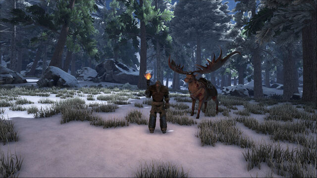 File:ARK-Megaloceros Screenshot 004.jpg