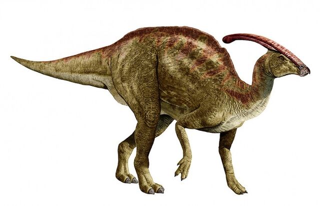 File:Parasaurolophus-New-692x444.jpg