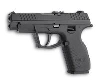 CZ100.jpg