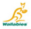 File:Wallabies.jpg