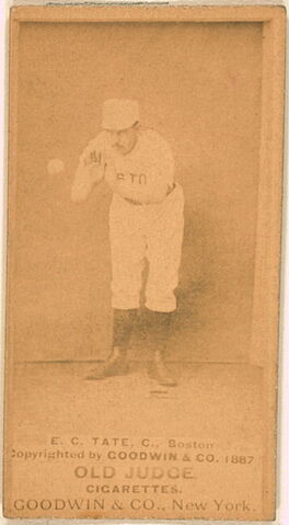 File:Player profile Pop Tate.jpg