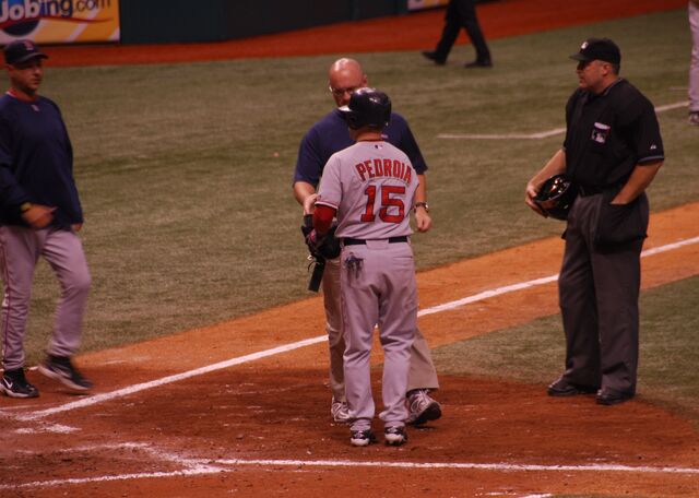 File:Dustin Pedroia-1194898465-90.jpg
