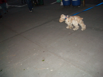 File:1187126865 Random 007.jpg