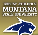 File:MSUlogo.jpg