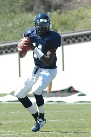 File:QB Josh Johnson 2.jpg