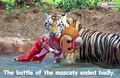Thumbnail for version as of 15:08, September 6, 2010