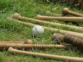 Thumbnail for version as of 15:40, September 6, 2010