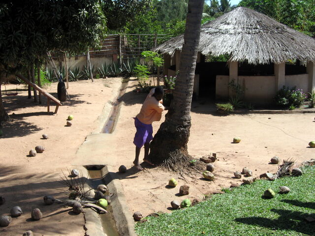 File:Zito-1207163789-63.jpg