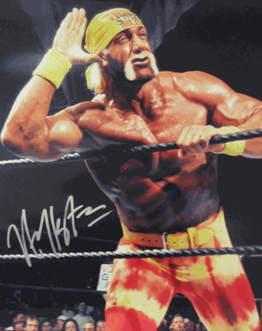 File:1187970044 Hogan.gif