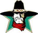 File:SanAntonioTexans.png