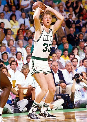 File:T1 bird.jpg