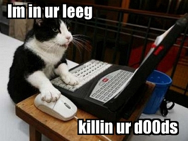 File:Pean LOLCAT.jpg