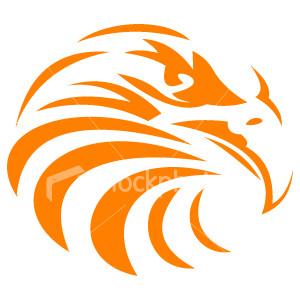 Falcon02520