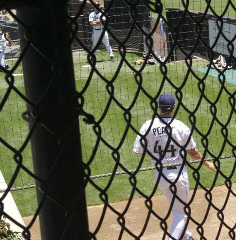 File:Jake Peavy-1195056605-505.jpg