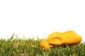Thumbnail for version as of 16:46, September 6, 2010