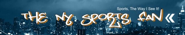 File:Nyspf banner.jpg