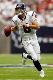 Schaub1