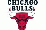 File:CHI09Playoffs.jpg