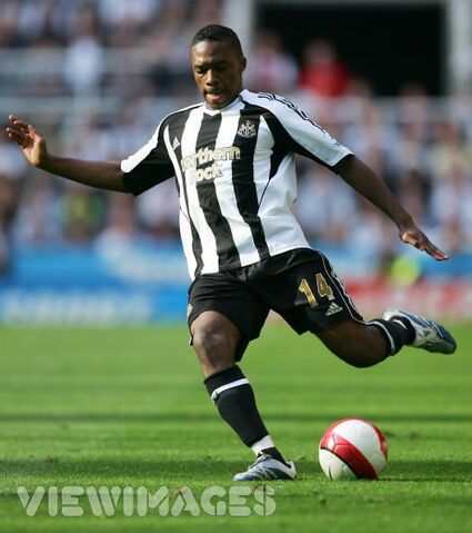 File:Player profile Charles N'Zogbia.jpg