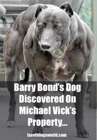 File:1187223700 Bbondsdog.jpg