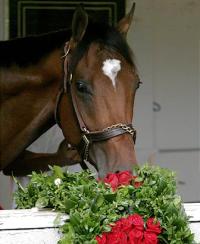 File:Barbaro.jpg