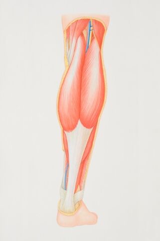 File:Achilles.jpg