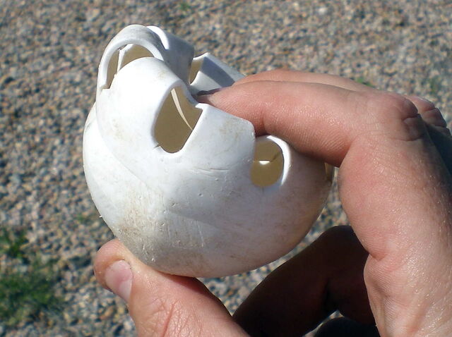 File:Crinkleball.jpg