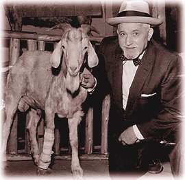 File:Murphy (Billy Goat).jpg